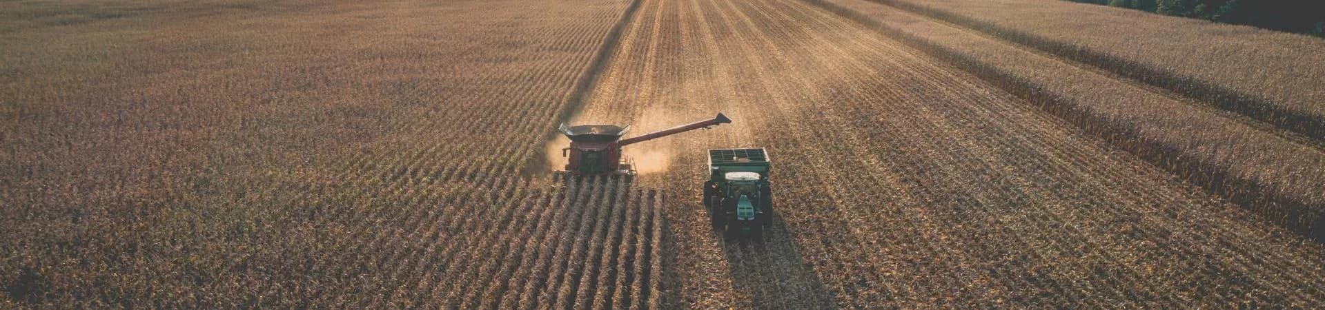 LANDWIRTSCHAFT